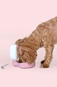 Пляшка для води для собаки United Pets Pingui GV0901RO20