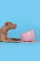 Zdjelica za psa United Pets Cup Dog Sintetički materijal
