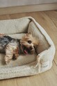 Calma House legowisko dla pupila Henry HENRY.DOGS.CRU beżowy AA00