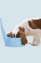 United Pets miska dla psa Tail : Polipropylen