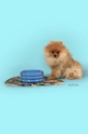 голубой Миска для домашнего животного United Pets DoggyMood x Seletti