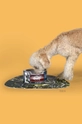 барвистий Миска для домашнього улюбленця United Pets New York x Seletti