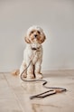 Поводок для собаки OYOY Perry Dog Leash Z60077 коричневий AA00