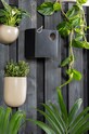 Present Time Colivie negru PT3879BK