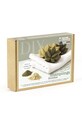 Graine Creative набір DIY шампунь в кубиках Solid Shampoos барвистий 200523.