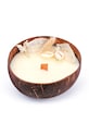 Graine Creative Kit de lumânări parfumate DIY Coconut Candle multicolor 152019