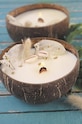 Home SPA Graine Creative Kit de lumânări parfumate DIY Coconut Candle 152019 multicolor