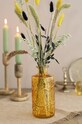 Graine Creative Vaza decorativa Barcelone 168046 multicolor AA00