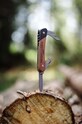 Лайфстайл Мультиинструмент Gentelmen's Hardware Pen Knife GEN629UK мультиколор