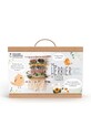 Lifestyle Graine Creative set de agățat de perete diy My Herbarium 420185 multicolor