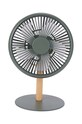 Вентилятор і настільна лампа 2в1 Gingko Design Beyond барвистий G032GN