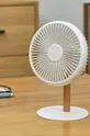 Вентилятор і настільна лампа 2в1 Gingko Design Beyond