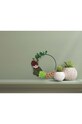 Graine Creative kit di decorazioni fai da te Ma couronne de succulentes 420049 multicolore AA00