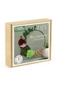Graine Creative kit di decorazioni fai da te Ma couronne de succulentes 420049 multicolore