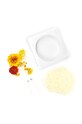 Graine Creative zestaw diy świeca zapachowa Bougie Florale 152014 multicolor AA00