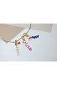 Брелок Design Letters Key ring & Bag tag 30302001DPILOVE барвистий AA00