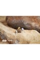 Orbitkey pierścień do kluczy Ring v2 x Star Wars™ PRN2.R2D.505