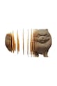 Lifestyle Cartonic puzzle 3d Pomeranian 16 x 14 x 10 cm CARTSPITS beżowy