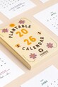 Lifestyle RESETEA kalendarz z nasionami roślin do uprawy Plantable Calendar 10,5 x 15 cm Erst578 multicolor