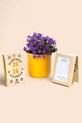 RESETEA kalendarz z nasionami roślin do uprawy Plantable Calendar 10,5 x 15 cm multicolor Erst578