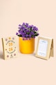 RESETEA kalendarz z nasionami roślin do uprawy Plantable Calendar 10,5 x 15 cm multicolor Erst578