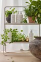 Home SPA Zone Denmark folyékony szappan Lush Lemon Botanical 23944 fehér