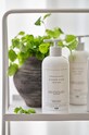 Zone Denmark tekoče milo Ginger Gain Botanical bela 23945