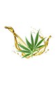 Ufo maska uklidňující zánět FOREO Cannabis Seed Oil 6-pack F9618. vícebarevná AA00