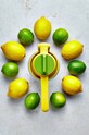 Joseph Joseph Соковыжималка для цитрусов Juice Max 20171 мультиколор AA00