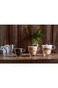 Σετ ποτηριών Vialli Design 6-pack 5901638727466 διαφανή AA00
