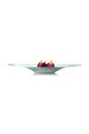 Philippi patera Viola P202007 multicolor AA00