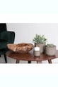 Διακοσμητικό μπολ House Nordic Rio Teak πολύχρωμο 4501012