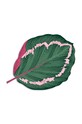 Madre Selva podkładka dekoracyjna Calathea