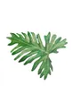 zielony Madre Selva podkładka dekoracyjna Tila Unisex