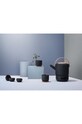 Чайный инфузер Stelton Theo X.630