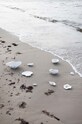Πιάτο Byon Oyster 5228621302 λευκό AA00
