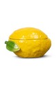 Δοχείο με καπάκι Byon Lemon κίτρινο 5228624410