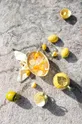 Nádoba s vekom Byon Lemon Dolomit