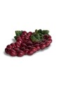 Сервірувальне блюдо Byon Grape барвистий 5228625407