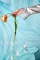 Byon carafa Swan 5280605500 transparent AA00
