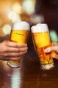Кухня та бар Кухоль для пива Donkey Glass of Friendship 210816 прозорий
