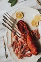 Set pribora za jelo za morske plodove Dorre Skai 6-pack siva