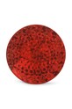 Тарілка S|P Collection Ardor 21 cm барвистий 803760