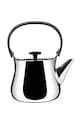 Чайник Alessi Cha сив NF01