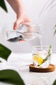 Black and Blum wkład filtrujący z węgla aktywnego Eau Good EGS001.1B
