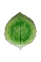 Sada talířů Costa Nova Riviera Hydrangea 22 cm 6-pack zelená VEP221.TMT.SET6
