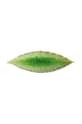Σετ πιάτων Costa Nova Riviera Laurel 18 cm 6-pack πράσινο VEP182.TMT.SET6