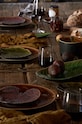 Набор тарелок Costa Nova Riviera Alchemille 6 шт бордо VEP181.VNG.SET6