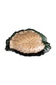 home & lifestyle talerz dekoracyjny 162105 turkusowy AA00