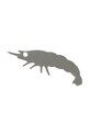 Набір виделок для закусок Balvi Crevettes 6-pack 27972 червоний AA00
